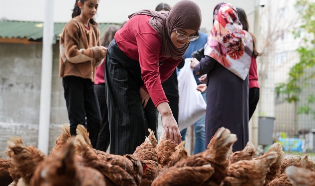 İntaş Kız Anadolu İmam