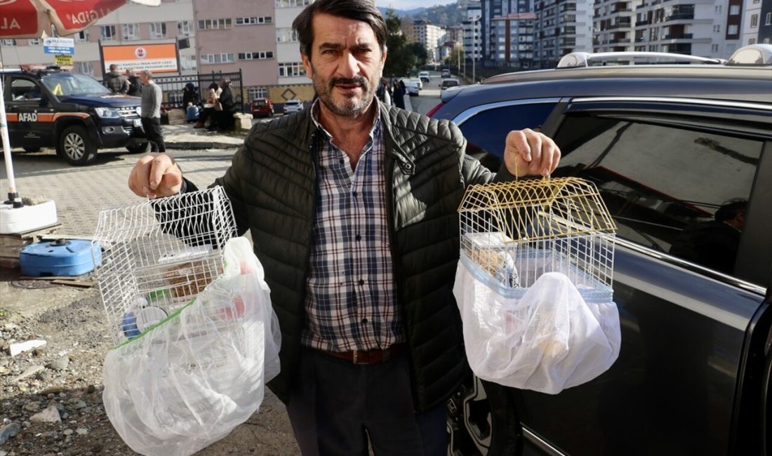 Rize'nin Çayeli ilçesinde meydana