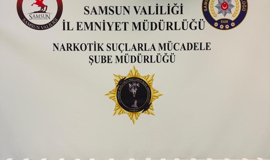 Samsun'da gerçekleştirilen uyuşturucu operasyonunda