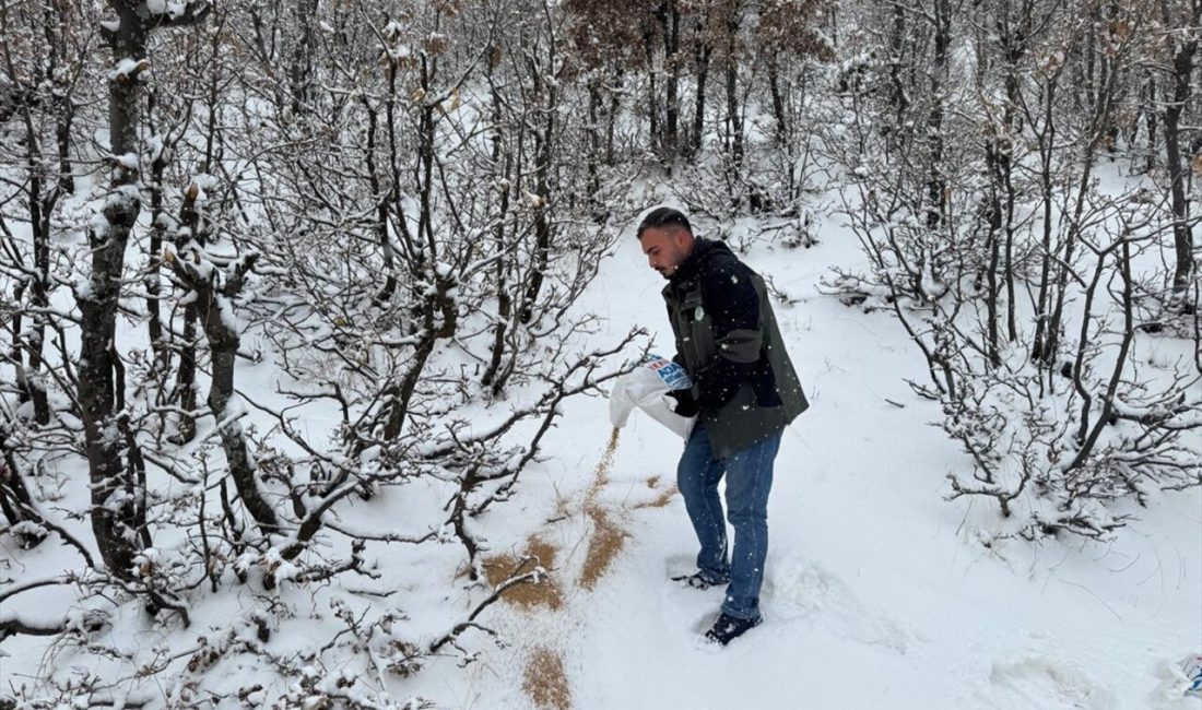 Siirt'te olumsuz hava koşulları