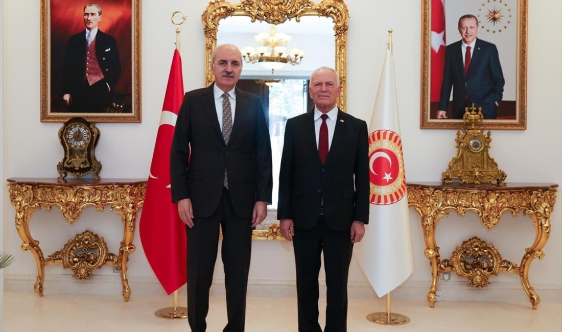 TBMM Başkanı Numan Kurtulmuş,