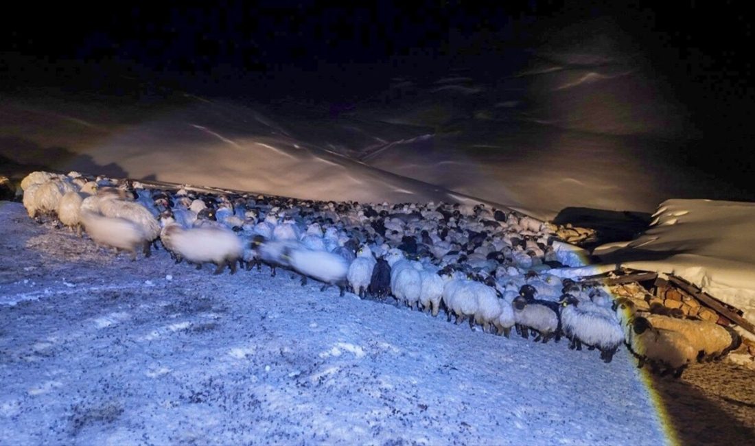 Trabzon'un Maçka ilçesinde bir