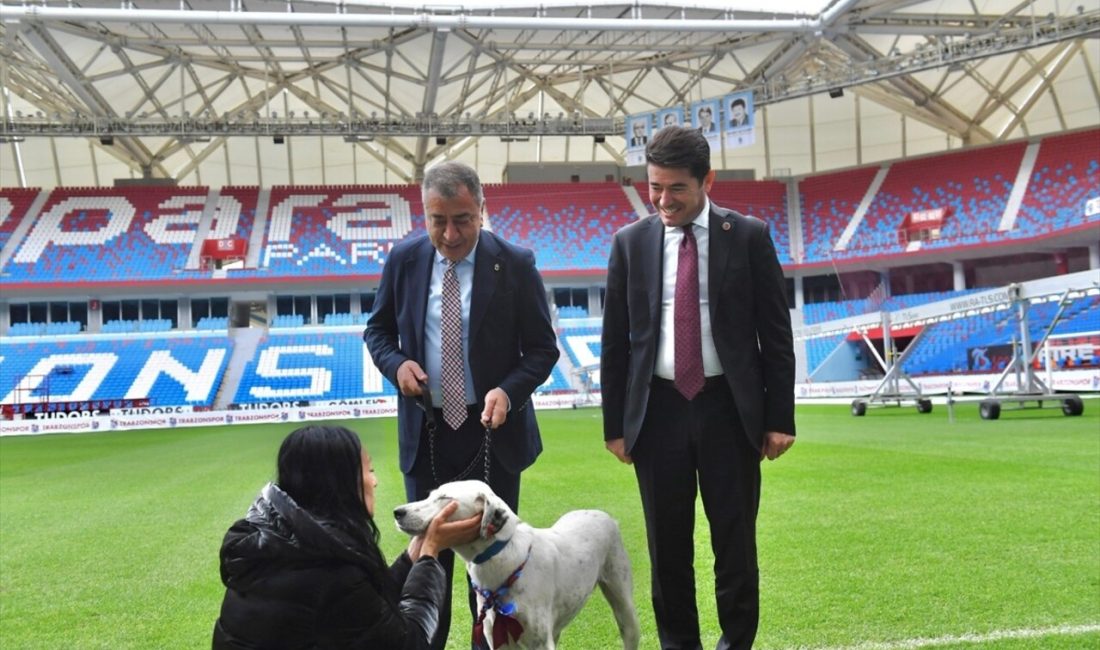 Trabzonspor, Fenerbahçe maçı öncesinde