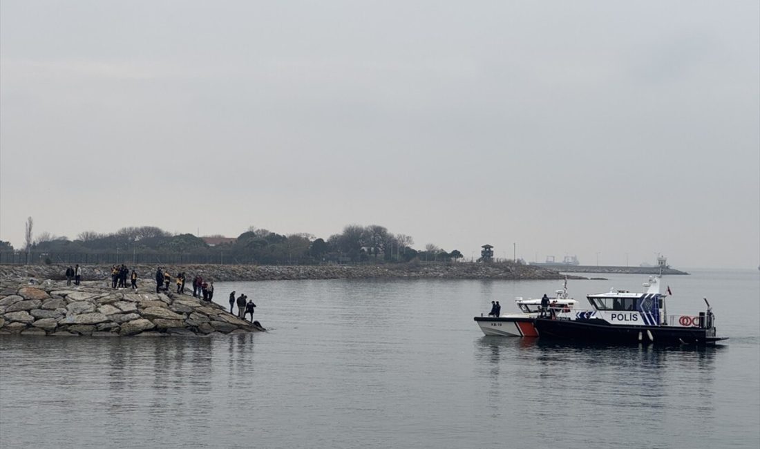 Tuzla sahilinde hareketsiz yatan