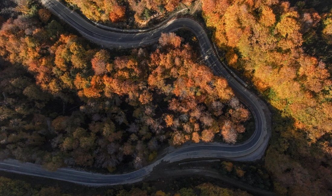 Uludağ'da sonbahar sezonunda dronla