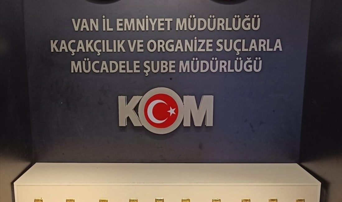 Van'ın Gürpınar ilçesinde gümrük