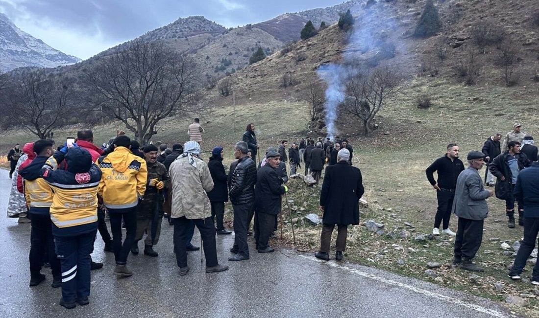 Van'ın Çatak ilçesinde iki