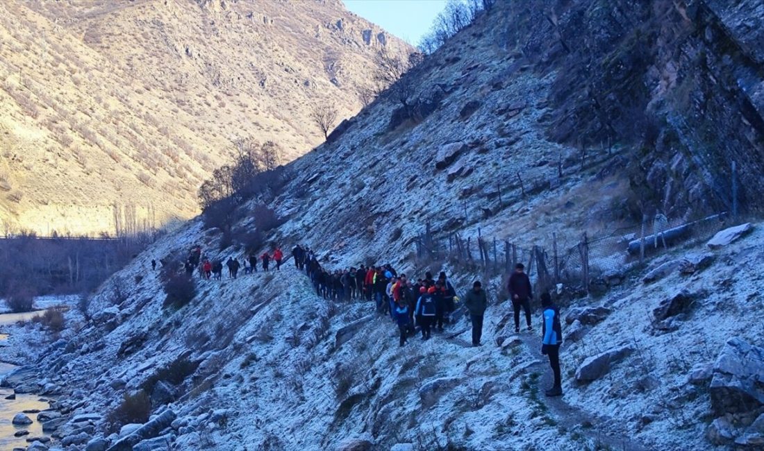 Hakkari'de kayalıklardan düşen 19